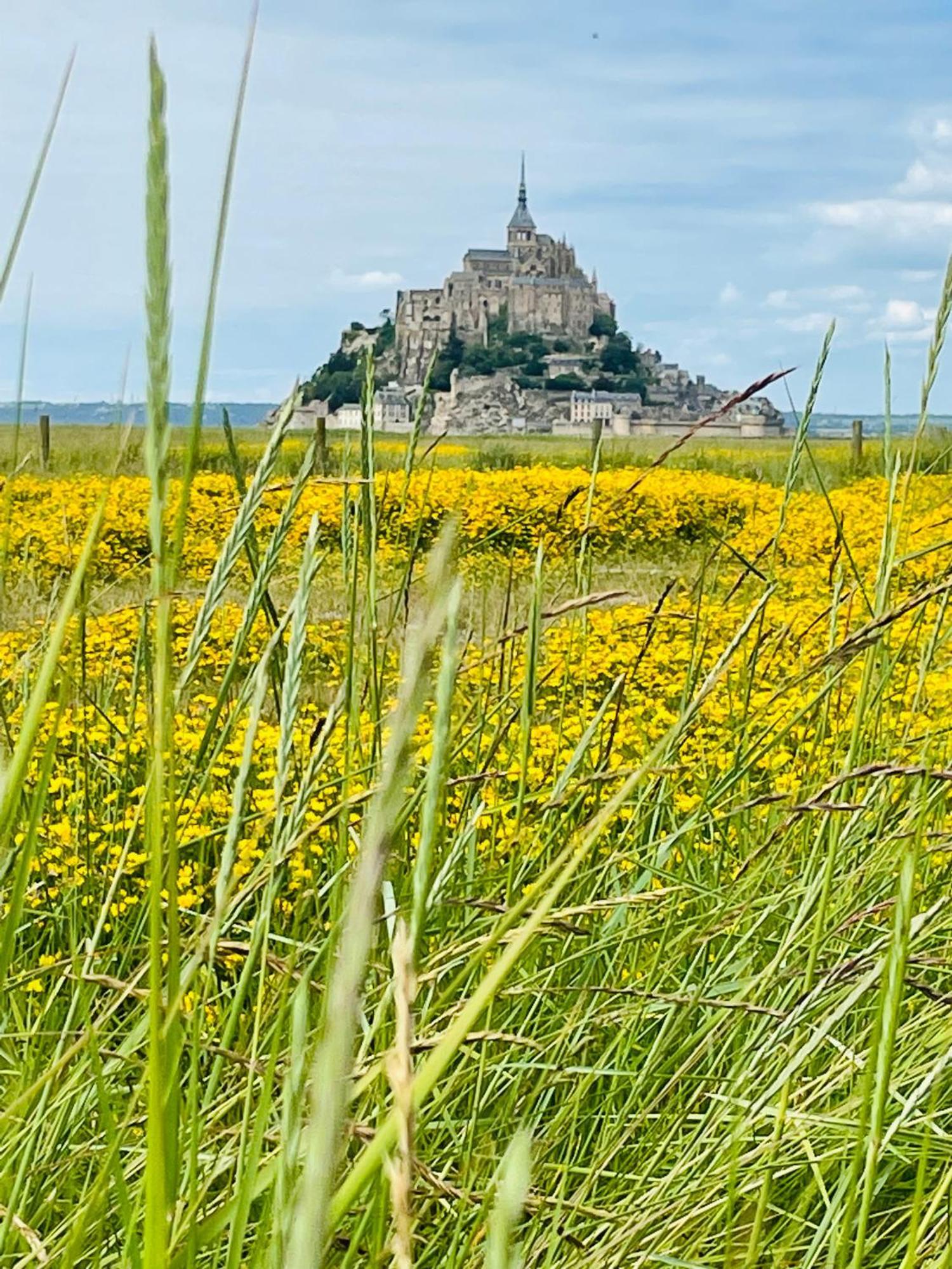Chez Trotro Apartment Saint-Pierre-de-Plesguen Екстериор снимка